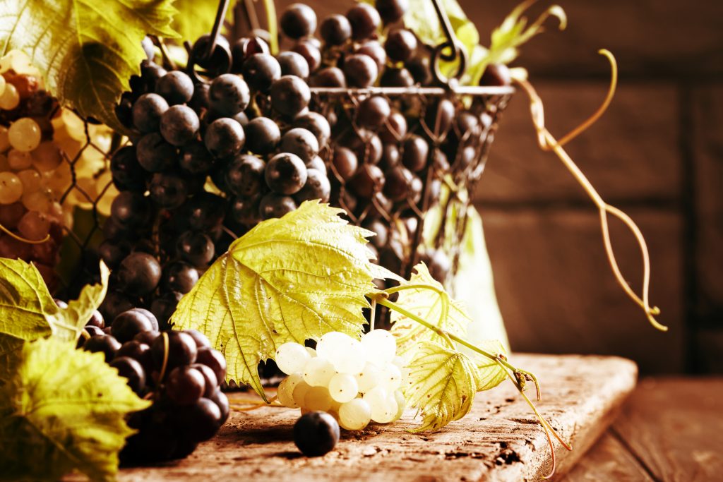 Grapes with leaves in a metal basket on a rustic wooden table, close-up.