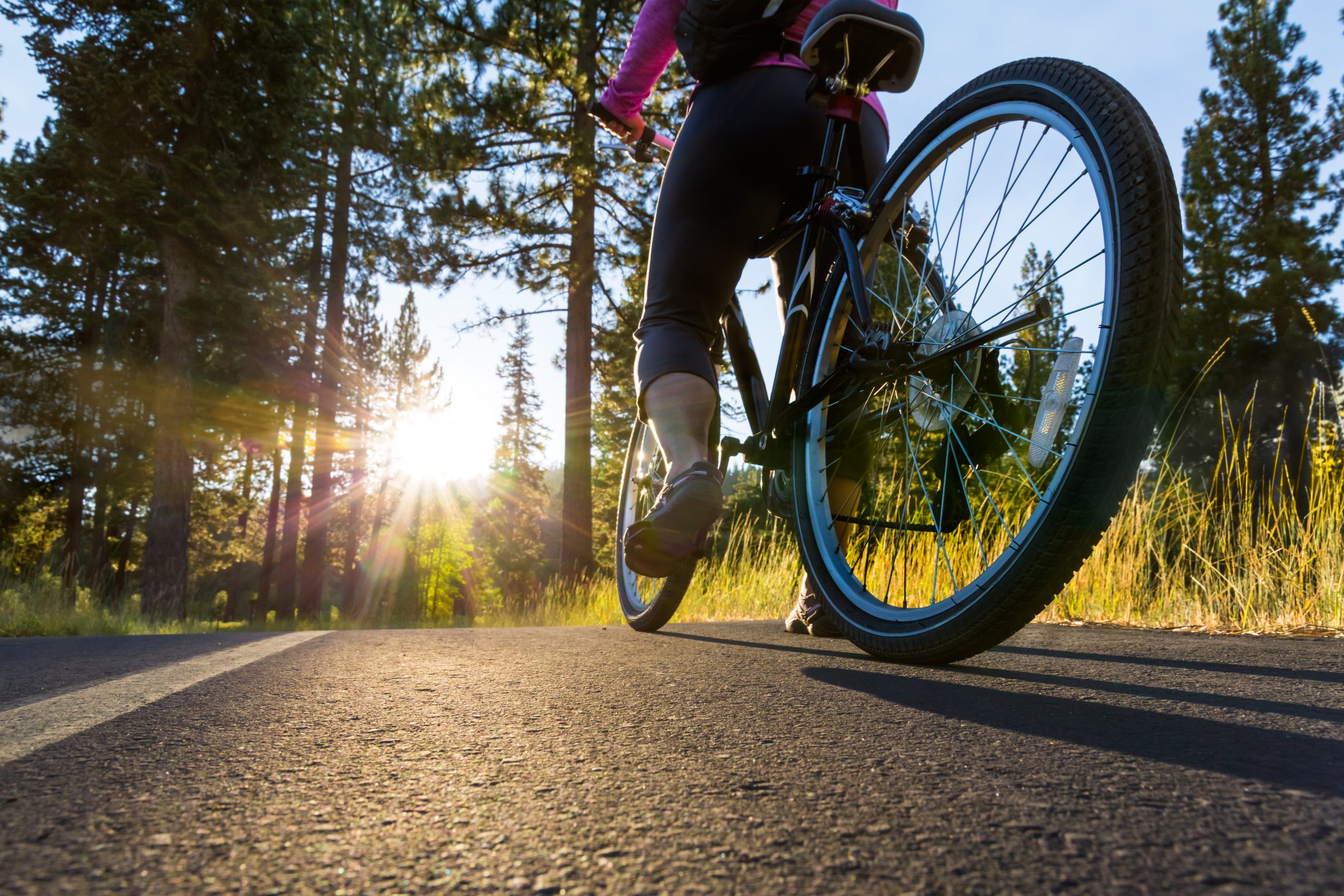 Vélo devant un paysage pittoresque de la Forêt-Noire avec des forêts verdoyantes